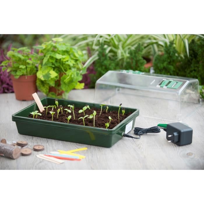 Mini serre chauffante H19x38x24cm Achat / Vente pack germination
