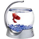 aquarium poisson rouge : Animalerie