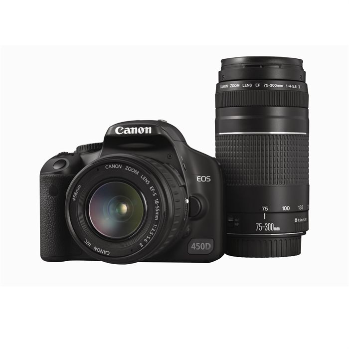 CANON EOS 450D +18/55 +75/300 Achat / Vente appareil photo réflex