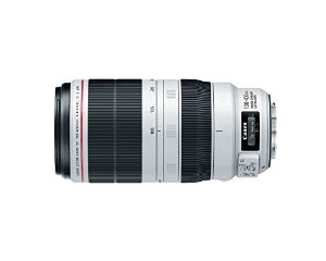 Canon EF 100 400mm f/4.5 5.6L IS II USM Objectif Noir, Blanc