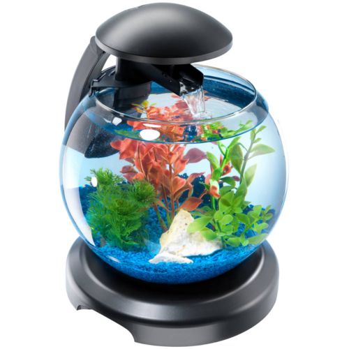 Tetra Aquarium Cascade Globe 6.8 litres pas cher Achat / Vente