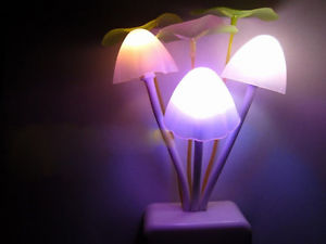Nouveauté Veilleuse Lampe Champignon LED Ambiant Capteur