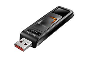 SanDisk Ultra Backup 32 Go Clé USB SDCZ40 032G U46