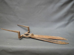 Ancienne grosse cisaille taille haie vieux outils art populaire french