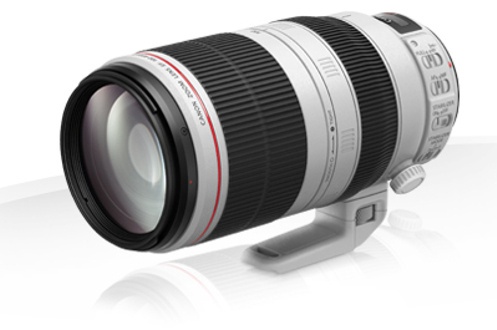 Objectif photo Canon EF 100 400mm f/4,5 5,6 L IS II USM (4079949