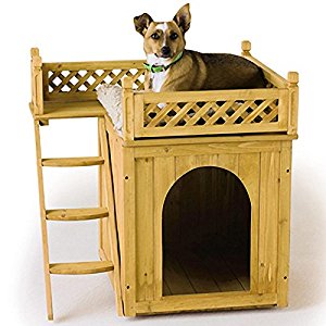 animalerie chiens niches cages chenils et parcs niches