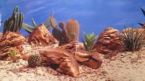 poster fond d aquarium decor double face desert/terrarium 90 x 30 cm