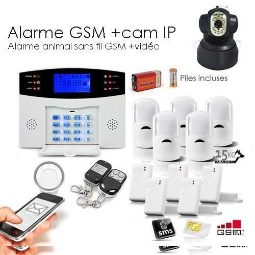 KIT alarme maison sans fil EGYLM2b GSM ANIMAL XXL BOX + camera IP plug