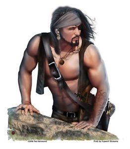 HOT SEXY GAY PIRATE PIN UP MUSCLED GUY WITH BANDANNA STICKER BY TED