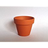 Mini pots de fleurs en terre cuite 48 mm