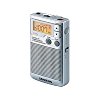 Sangean DT 250 Radio digitale stéréo AM / FM Haut parleur intégré