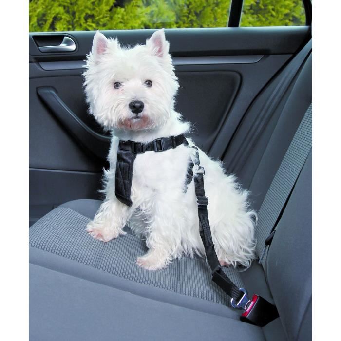 trixie harnais pour voiture pour chien Achat / Vente kit attache