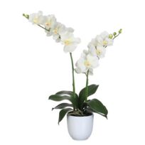 Name Fleur artificielle orchidée 2 tiges en pot blanc H.66cm Elliot
