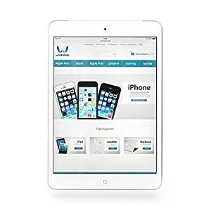 Apple iPad mini 64 Go WiFi + Cellular argent: Informatique