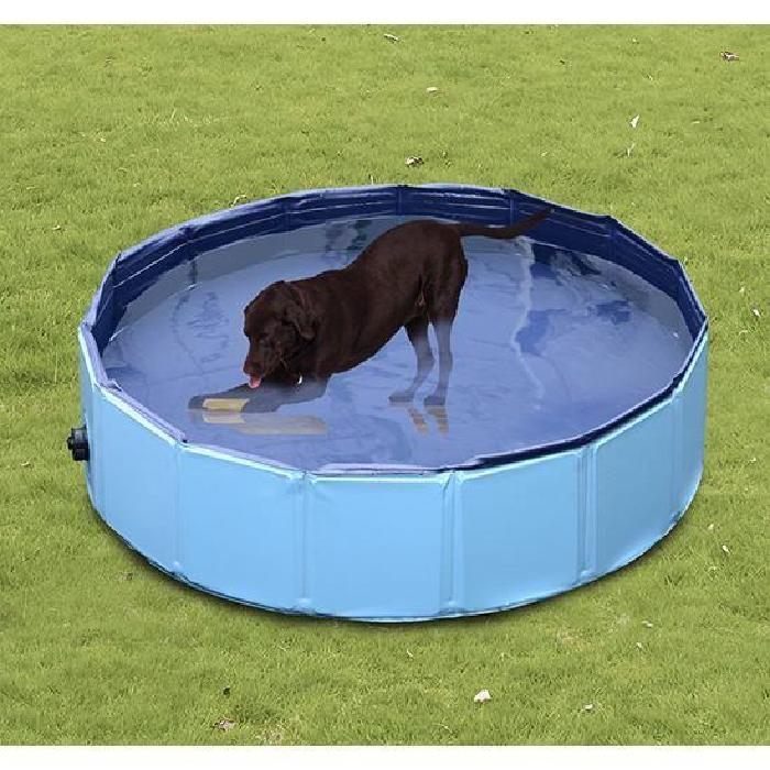 Bassin /piscine pour chien baignoire chien bleu