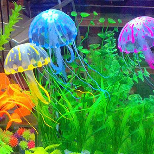 Méduses luminescentes aquarium réservoir de poissons de