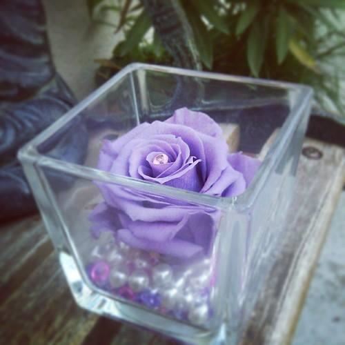 vase et sa rose eternelle fleur stabilisee luxe
