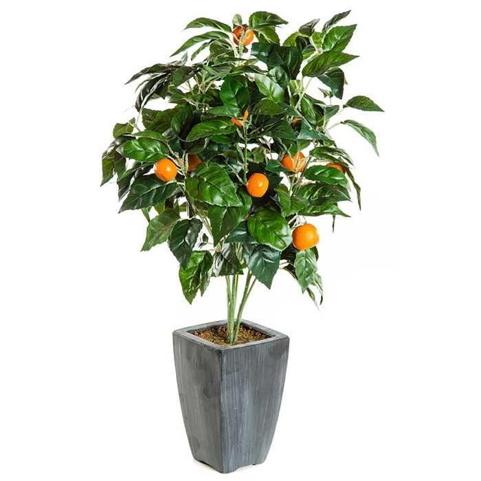 Arbre Fruitier Artificiel oranges Oranger Oranger méditerranéen