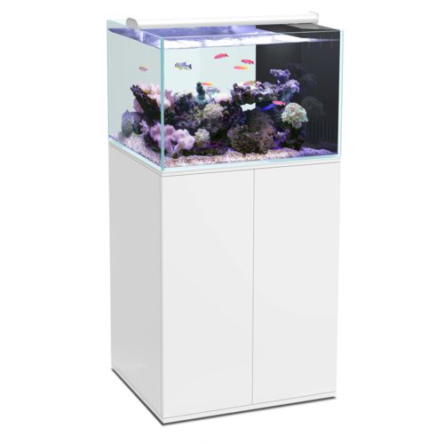 Aquarium + Meuble pas cher Achat / Vente Aquarium RueDuCommerce